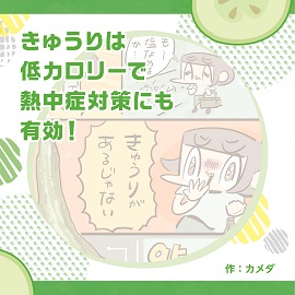 きゅうりは低カロリーで熱中症対策にも有効！